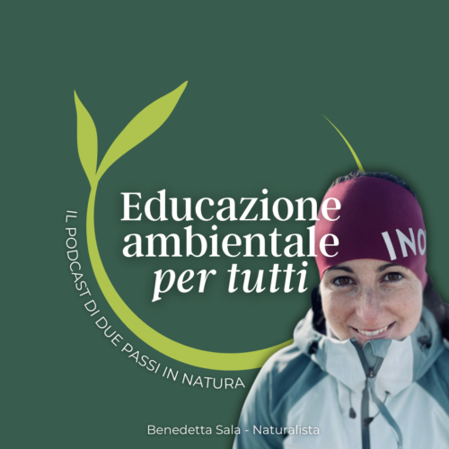 Che cos’è l’educazione ambientale?