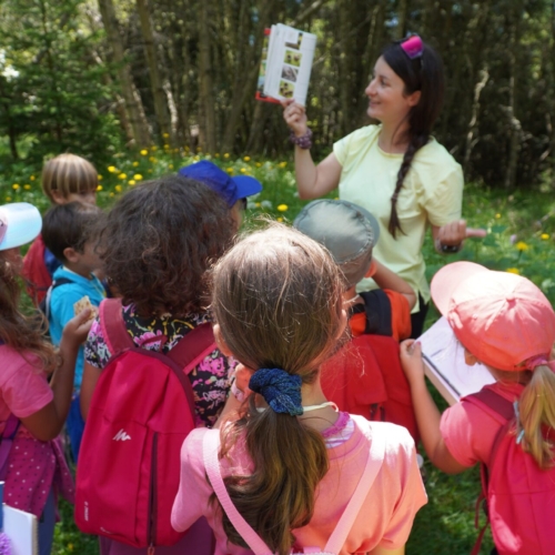 Outdoor Education: come si fa una nuova attività?